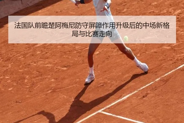 法国队前瞻楚阿梅尼防守屏障作用升级后的中场新格局与比赛走向